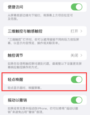 沂南苹果授权维修站分享iPhone轻点无法唤醒怎么办 