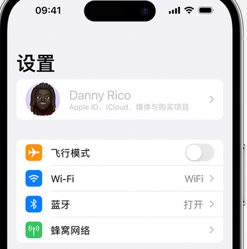 沂南appleID维修服务iPhone设置中Apple ID显示为灰色无法使用