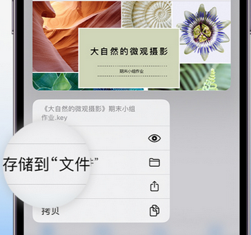 沂南apple维修中心分享iPhone文件应用中存储和找到下载文件