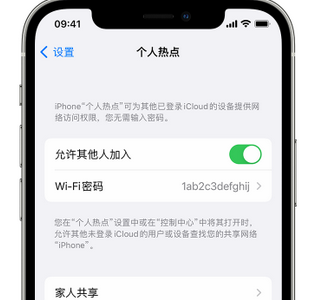 沂南apple服务站点分享iPhone上个人热点丢失了怎么办 