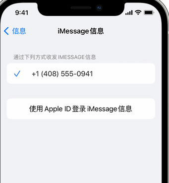 沂南apple维修iPhone上无法正常发送iMessage信息