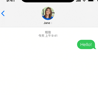 沂南apple维修iPhone上无法正常发送iMessage信息