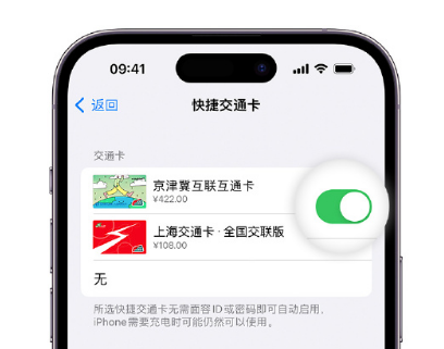 沂南apple维修点分享iPhone上更换Apple Pay快捷交通卡手绘卡面 