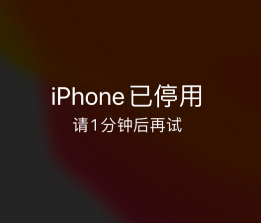 沂南苹果手机维修分享:iPhone 显示“不可用”或“已停用”怎么办？还能保留数据吗？ 