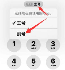 沂南苹果14维修店分享iPhone 14 Pro Max使用副卡打电话的方法 