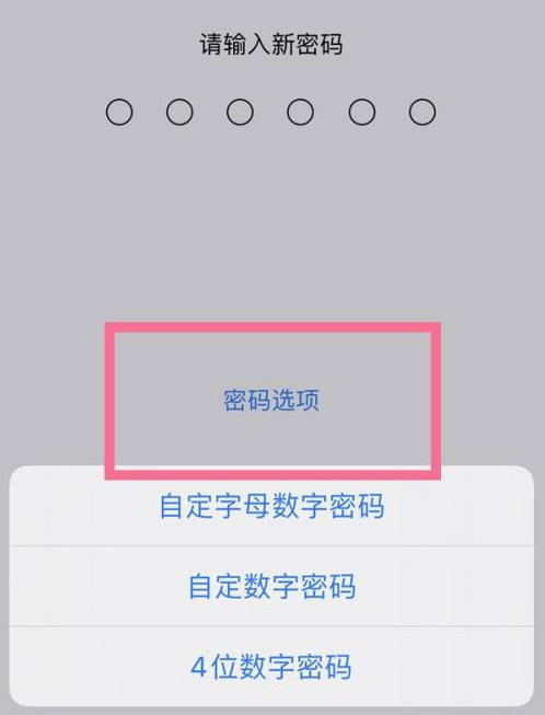 沂南苹果14维修分享iPhone 14plus设置密码的方法 