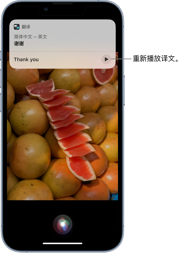 沂南苹果14维修分享 iPhone 14 机型中使用 Siri：了解 Siri 能帮你做什么 