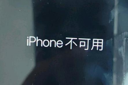 沂南苹果服务网点分享锁屏界面显示“iPhone 不可用”如何解决 