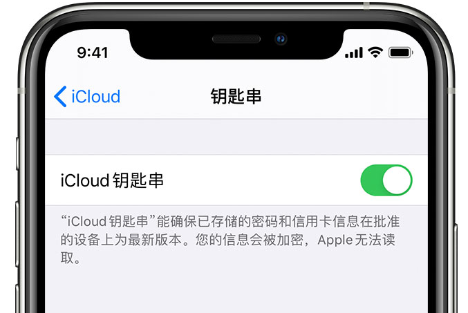 沂南苹果手机维修分享在 iPhone 上开启 iCloud 钥匙串之后会储存哪些信息 