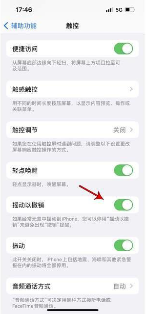 沂南苹果手机维修分享iPhone手机如何设置摇一摇删除文字 