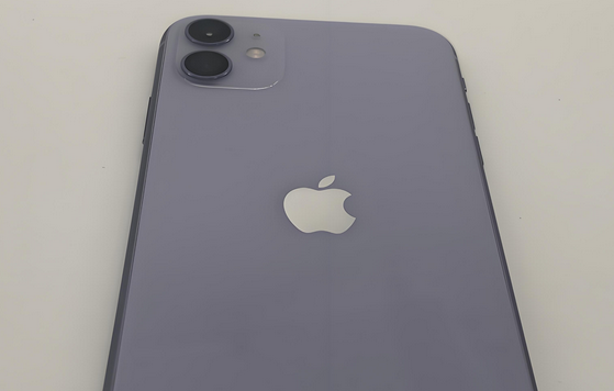 沂南苹果11系统维修分享iPhone11手机系统崩溃无法开机如何解决