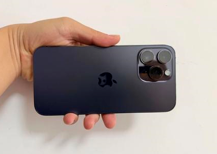 沂南苹果维修点分享iPhone 14 Pro Max黑屏少见故障盘点 